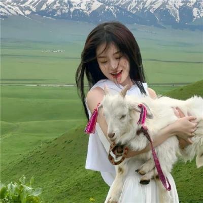 圣殿领唱的幸福指南