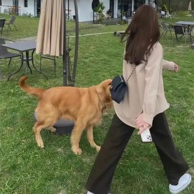 鬼泣女妖